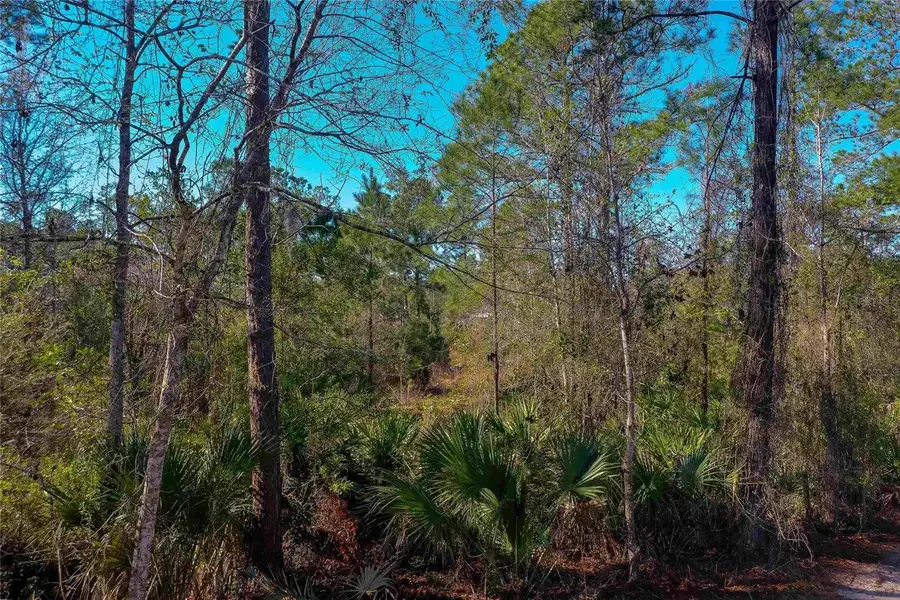 33150 Forest Ridge Road, Deland, FL 32720 - #2