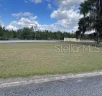 100 Siesta Circle, WELAKA, FL 32193