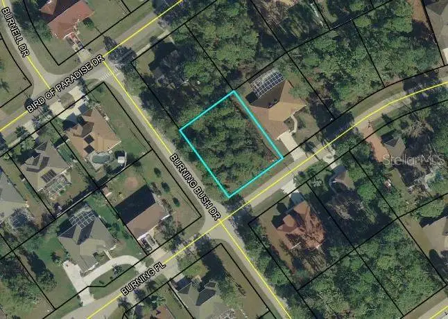 1 Burning View Lane, Palm Coast, FL 32137 - #3