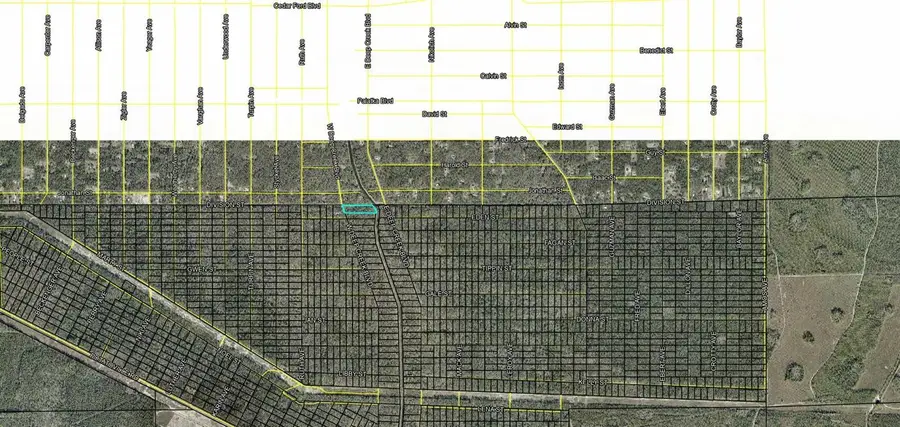 XXX Division Street, Hastings, FL 32145 - #2