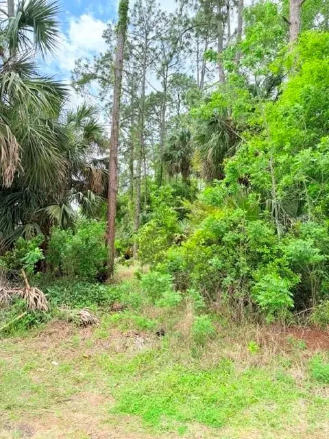 39 Braddock Lane, Palm Coast, FL 32137 - #2