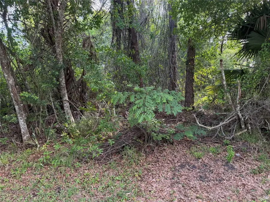 11 Patrick Place, Palm Coast, FL 32164 - #3