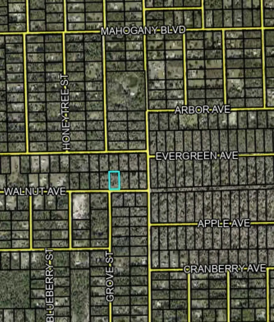 4062 Walnut Avenue, Bunnell, FL 32110 - #2