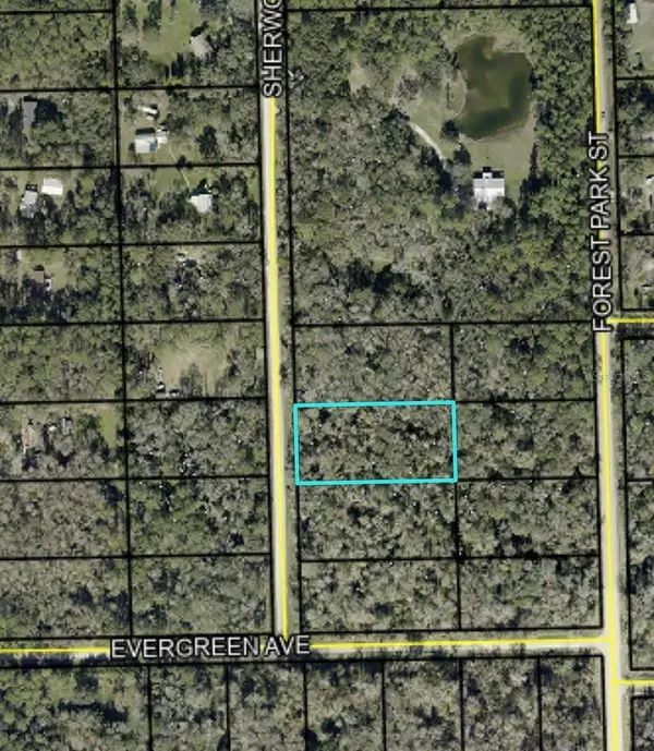 1795 Sherwood Street, BUNNELL, FL 32110