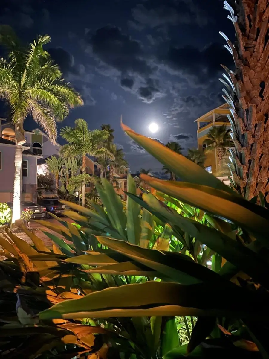 3000 Ocean Shore Boulevard #150, Ormond Beach, FL 32176 - #2