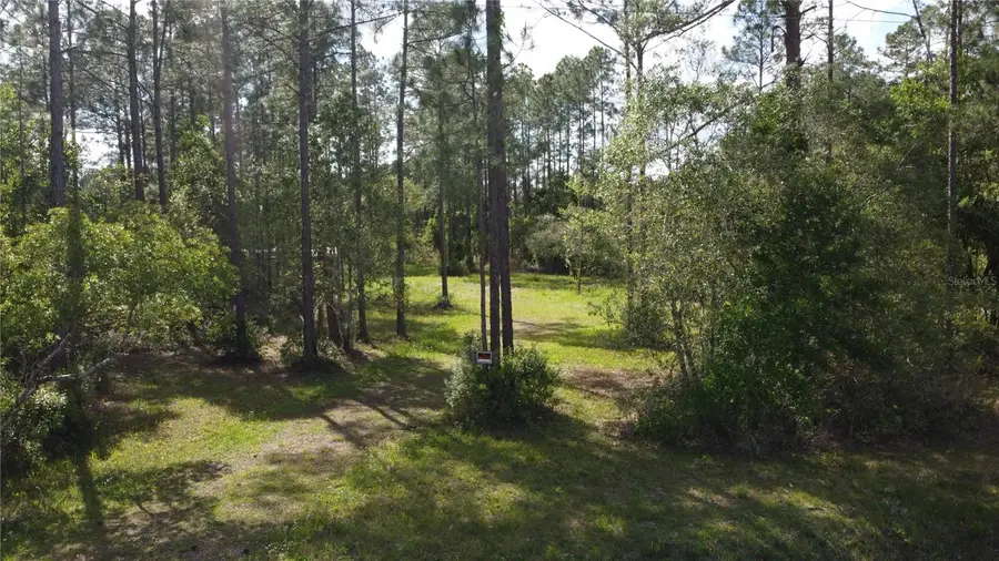 10205 Baylor Avenue, Hastings, FL 32145 - #2