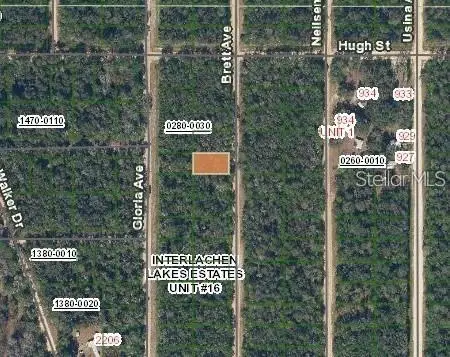 Brett Ave, Interlachen, FL 32148 - #3