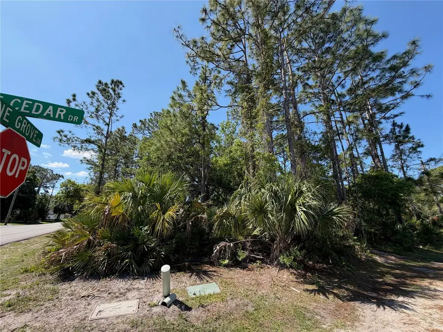 60 Pine Cedar Drive, Palm Coast, FL 32164 - #3