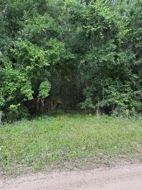 190 Catherine Street, Bunnell, FL 32110 - #1