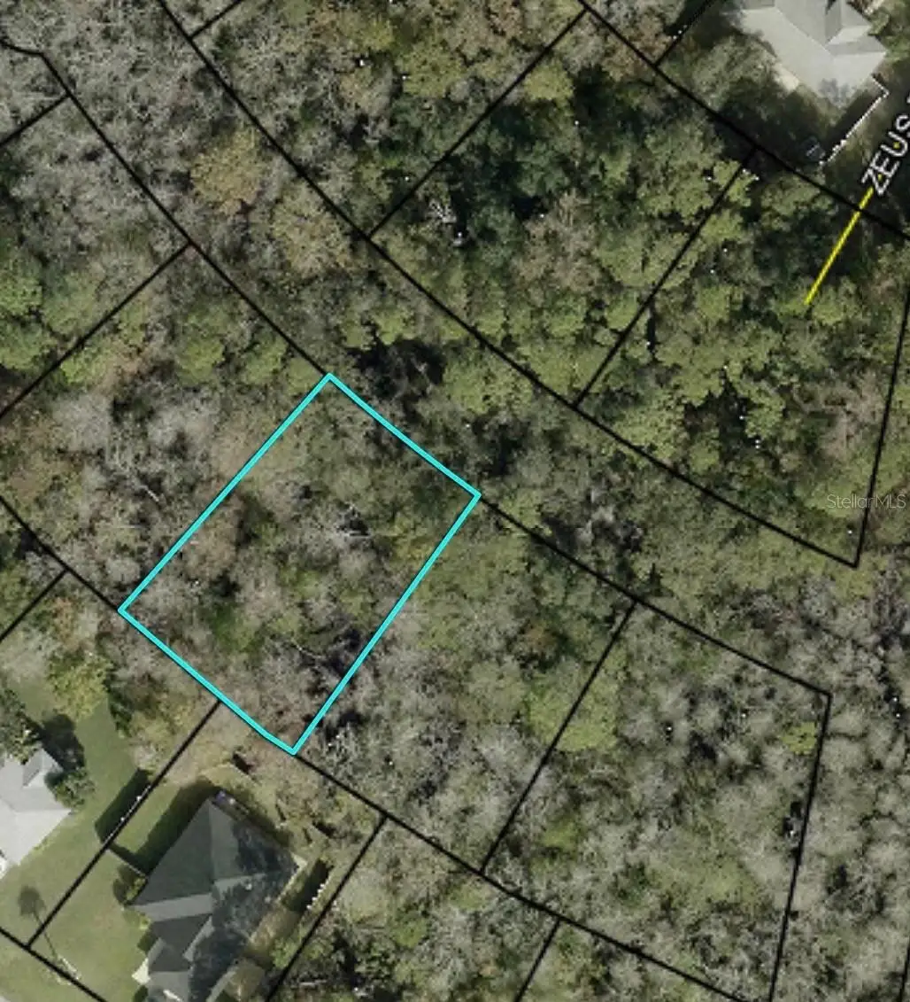Address Withheld By Seller, Palm Coast, FL 32164 - #1