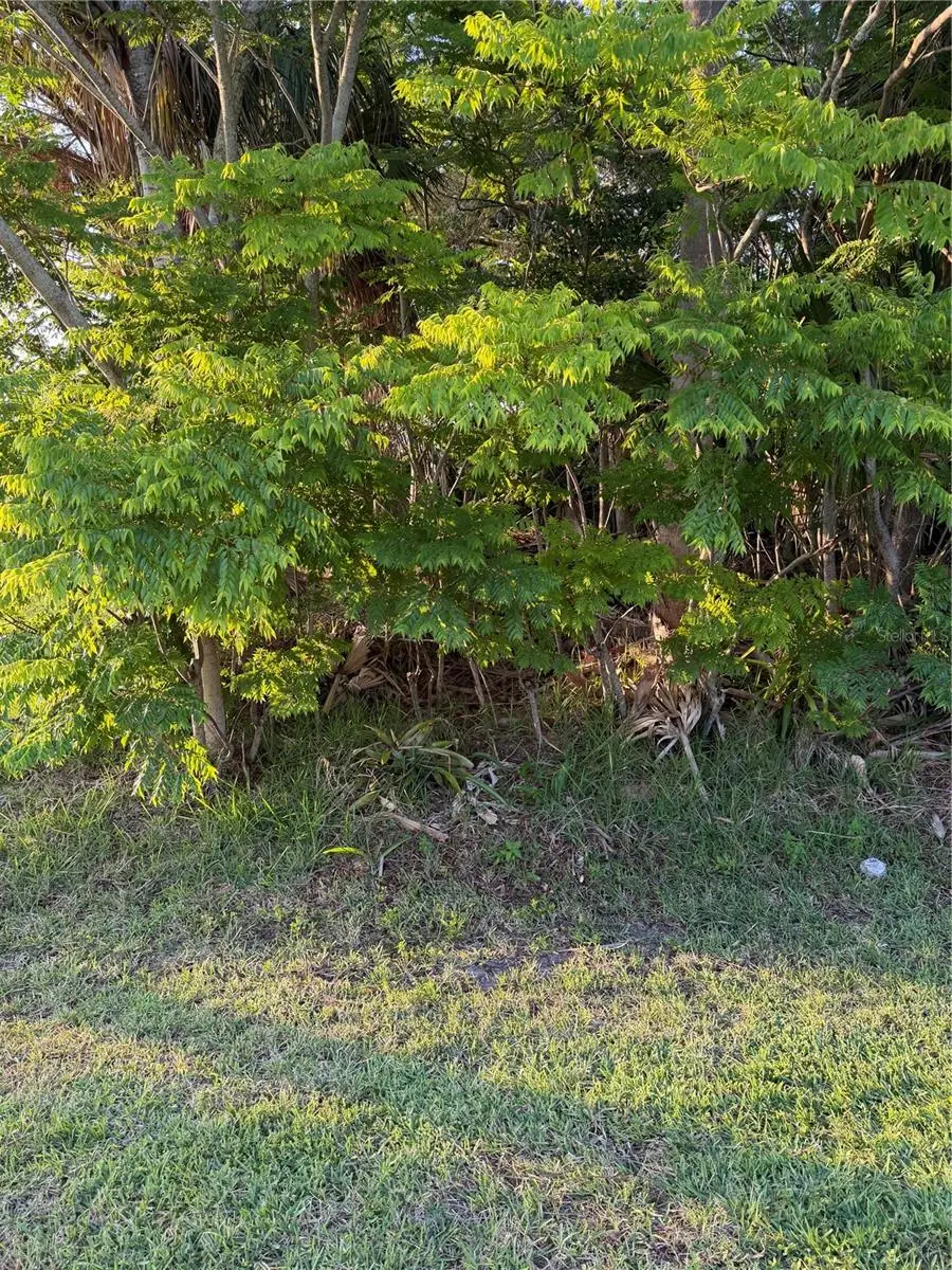 3 Largo, Palm Coast, FL 32137 - #1