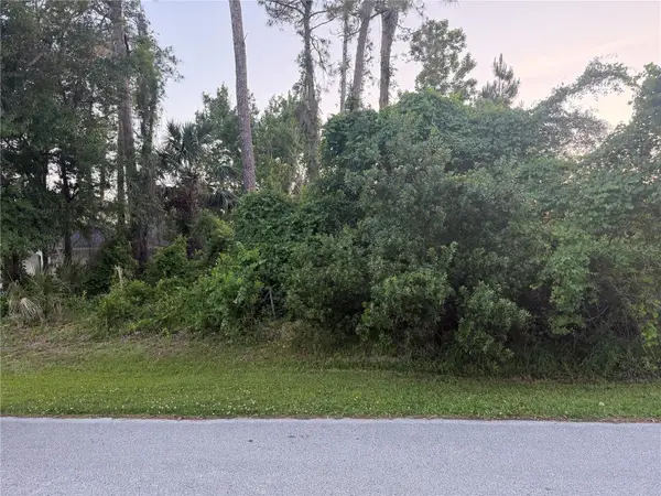 41 Woodlyn Lane, PALM COAST, FL 32164