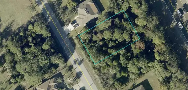 176 Bird Of Paradise Drive, PALM COAST, FL 32137