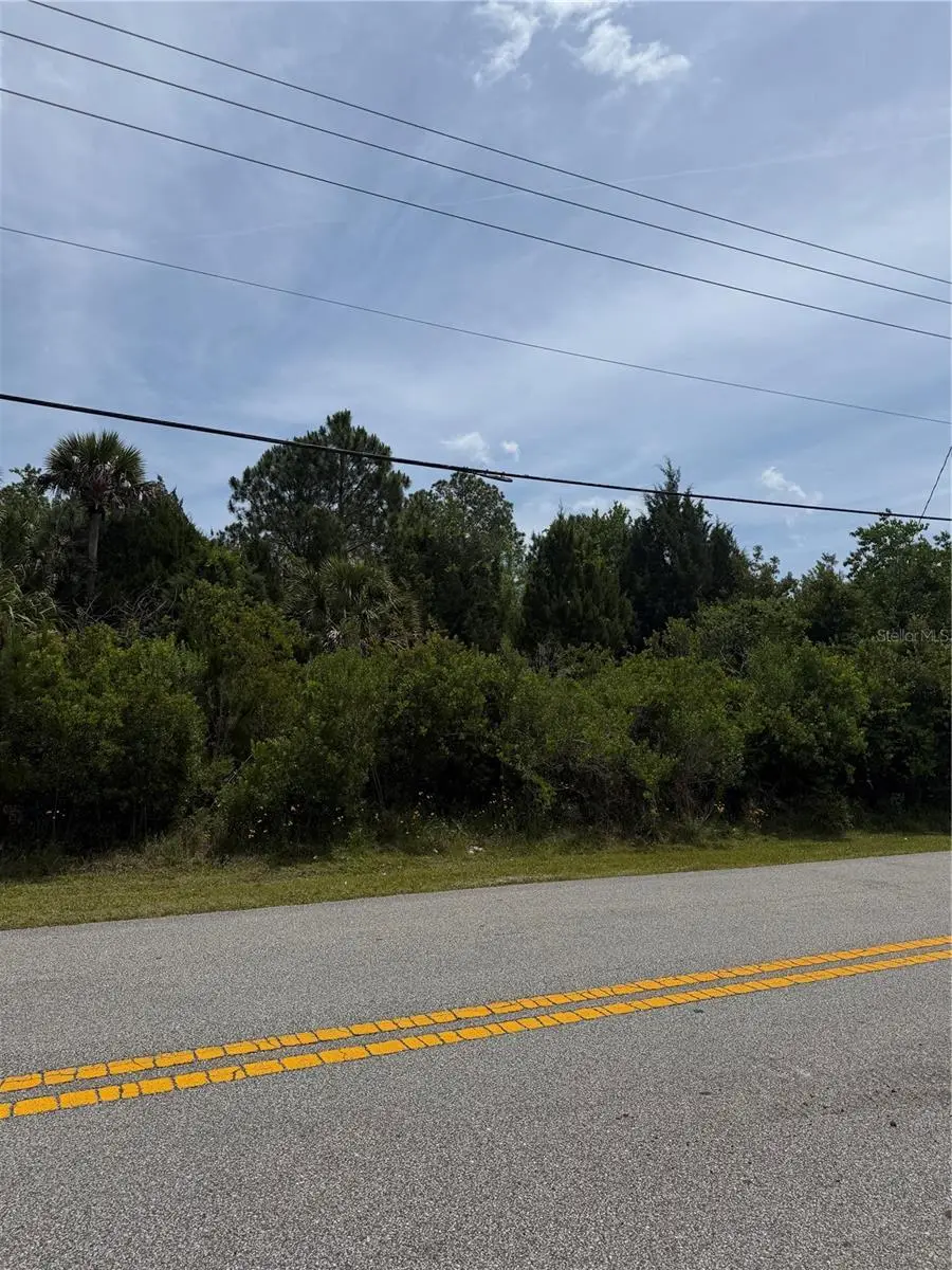 176 Bird Of Paradise Drive, Palm Coast, FL 32137 - #2