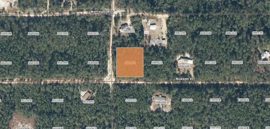 XX Blossom, Florahome, FL 32140 - #2