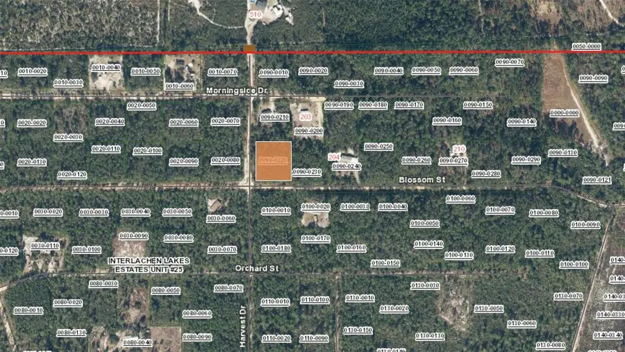 XX Blossom, Florahome, FL 32140 - #3