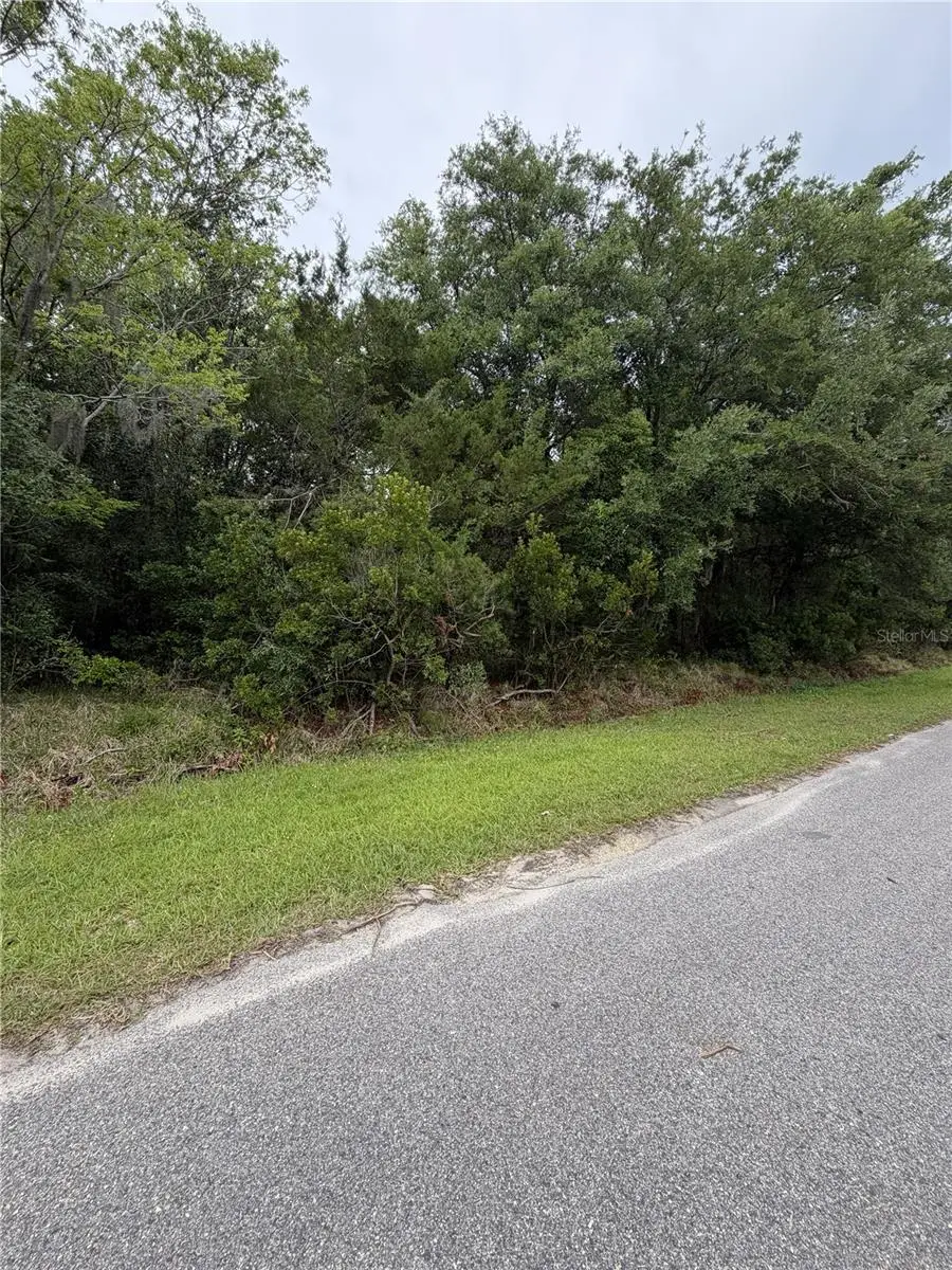 158 E Cracker Swamp Road, East Palatka, FL 32131 - #3