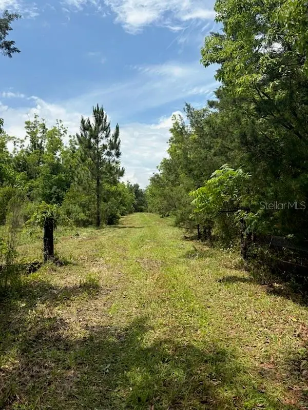 459 County Road 2006 E, Bunnell, FL 32110 - #1