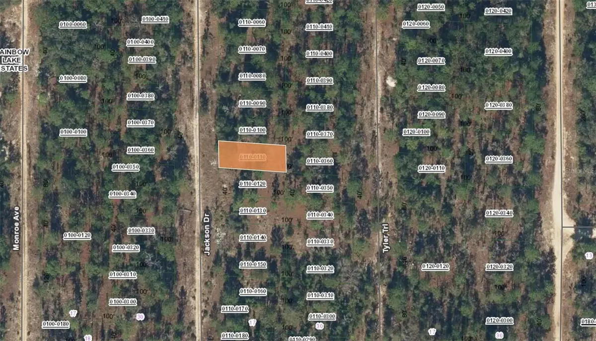 XX Jackson Drive, Hawthorne, FL 32640 - #1