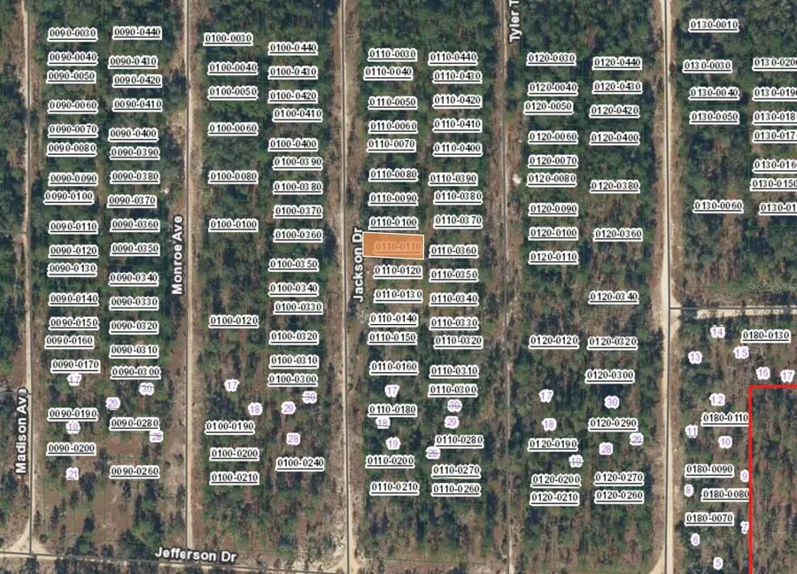 XX Jackson Drive, Hawthorne, FL 32640 - #2