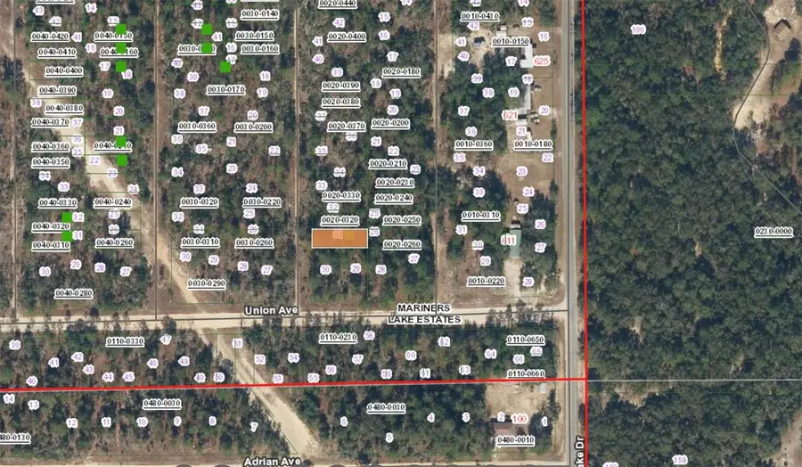 XX Pine Way, Interlachen, FL 32148 - #2