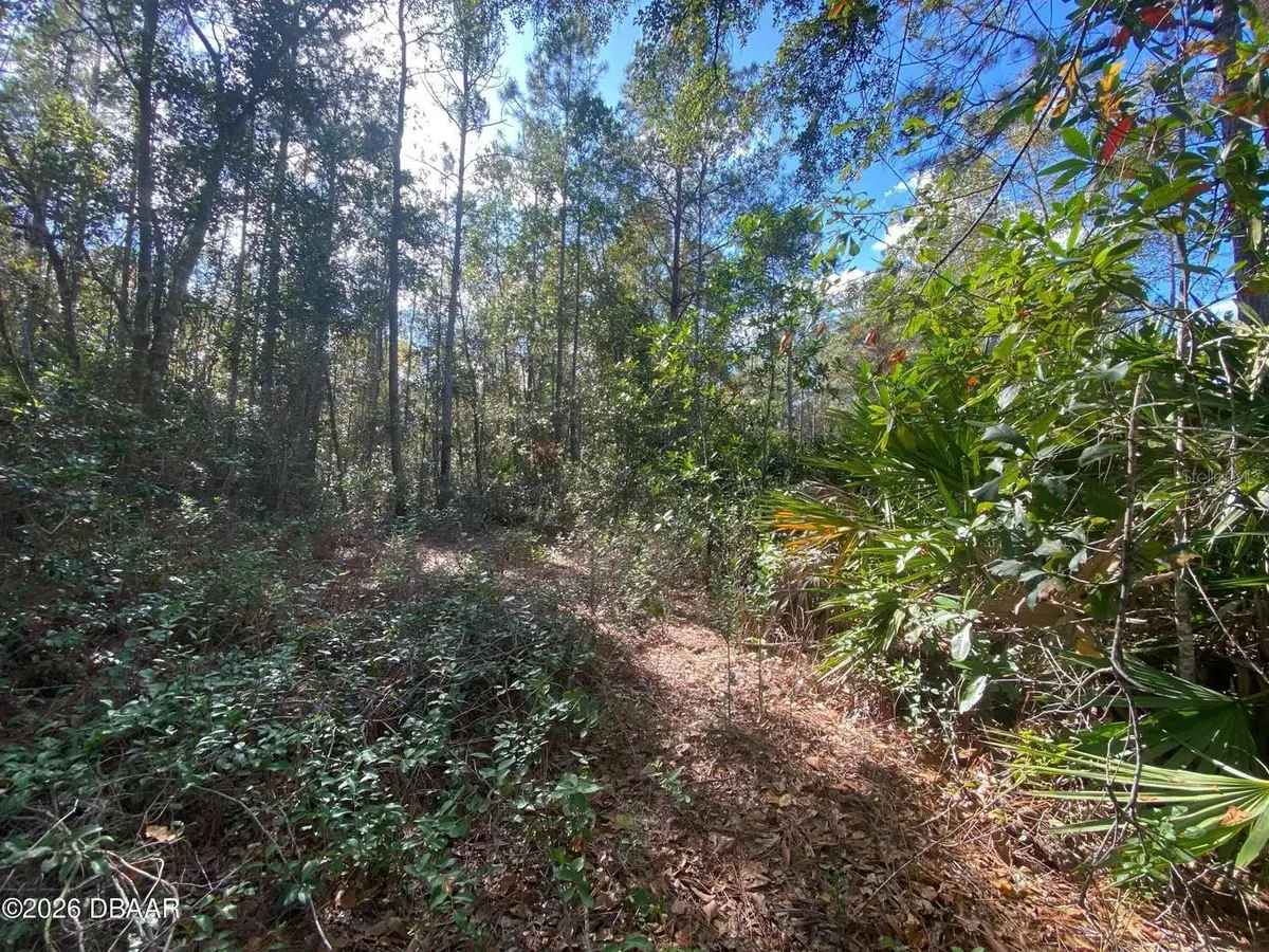 820 Old Bubbly Road, Pierson, FL 32180 - #1