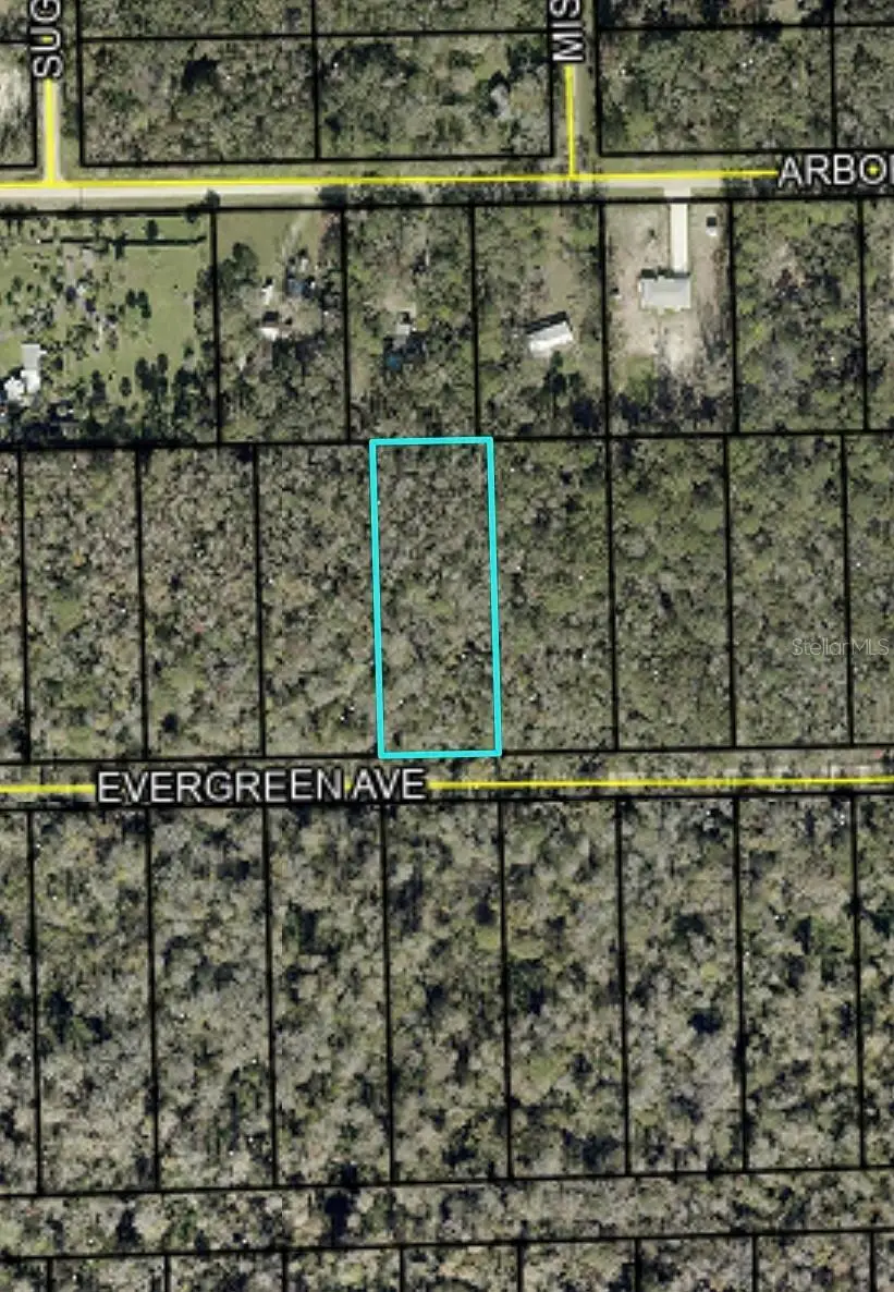 3740 Evergreen Avenue, Bunnell, FL 32110 - #2
