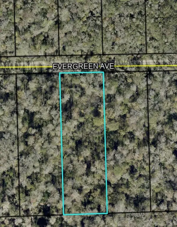 3741 Evergreen Avenue, BUNNELL, FL 32110
