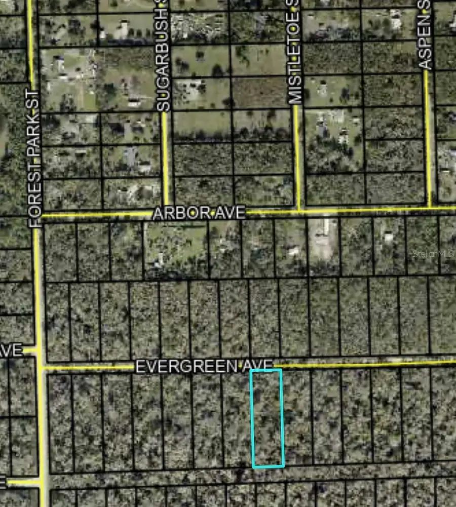 3741 Evergreen Avenue, Bunnell, FL 32110 - #2