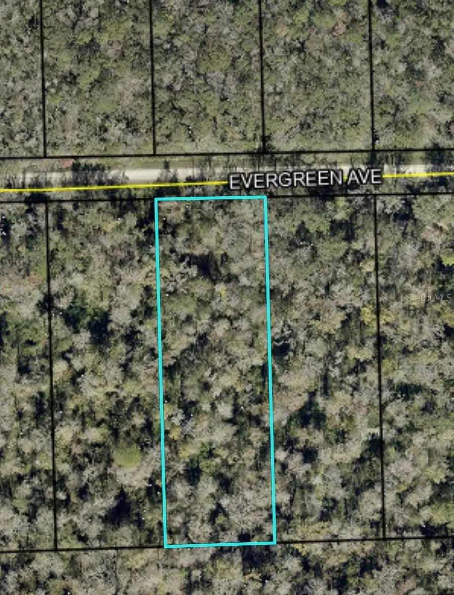 3599 Evergreen Avenue, Bunnell, FL 32110 - #1