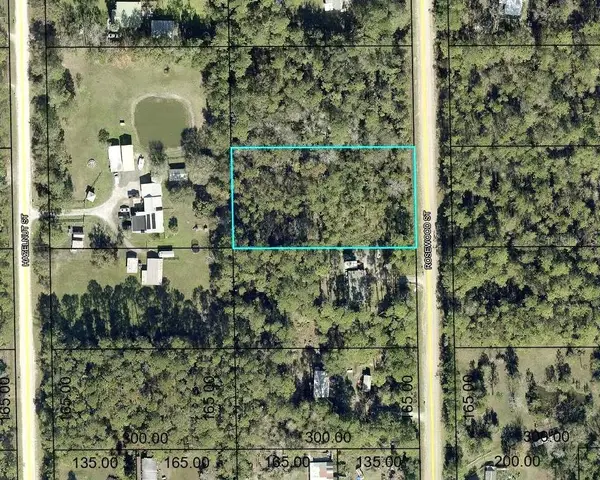 1352 Rosewood Street, BUNNELL, FL 32110