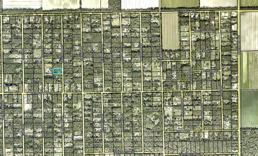 1352 Rosewood Street, Bunnell, FL 32110 - #2