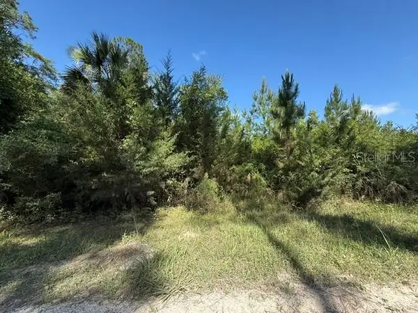 County Road 75, BUNNELL, FL 32110