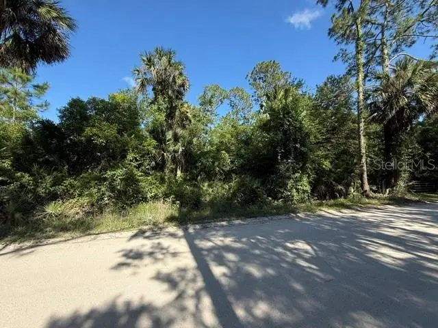 County Road 75, Bunnell, FL 32110 - #3