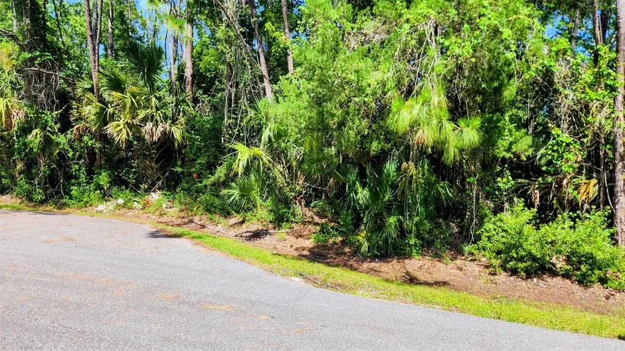 6 Rybar Place, Palm Coast, FL 32164 - #3