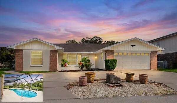 10 Felicia Court, PALM COAST, FL 32137