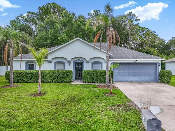 195 Parkview Drive, PALM COAST, FL 32164