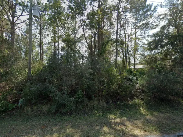 14 Ulawood Place, PALM COAST, FL 32164