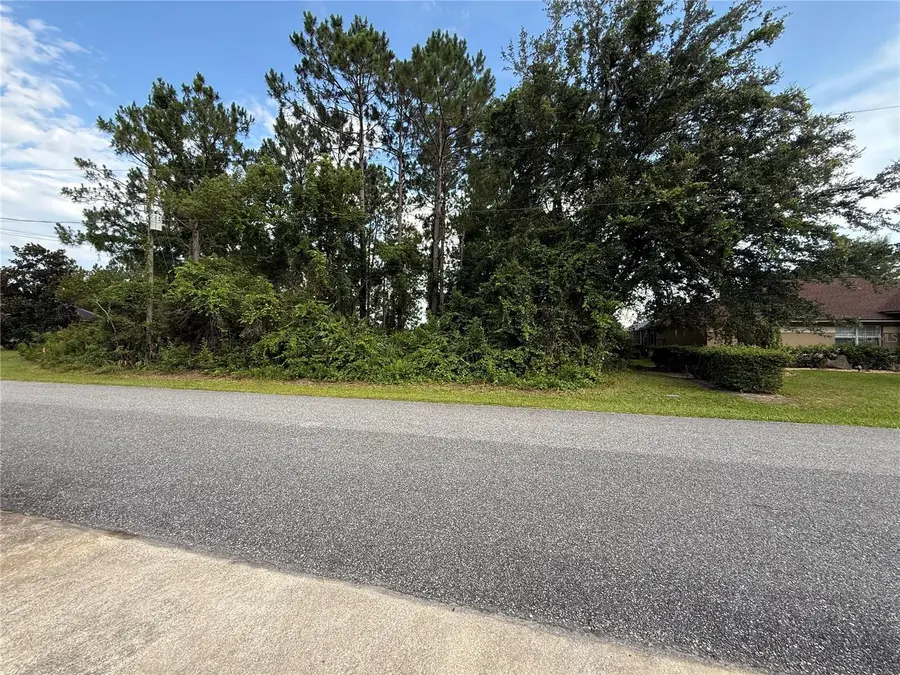 14 Ulawood Place, Palm Coast, FL 32164 - #2