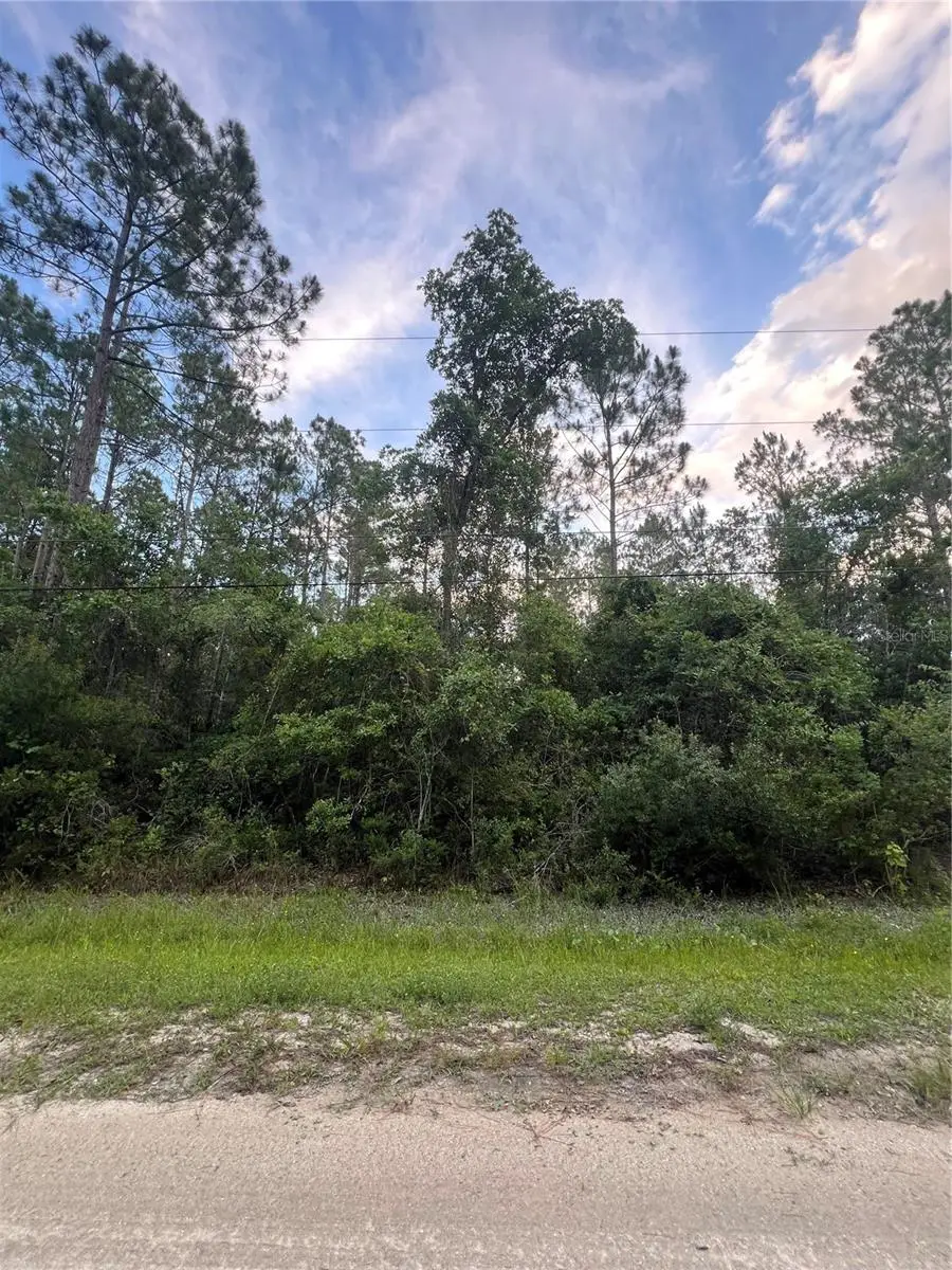 1411 Elder Street, Bunnell, FL 32110 - #1