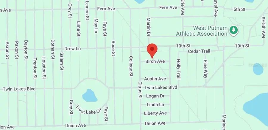 XX Birch Ave, Interlachen, FL 32148 - #2