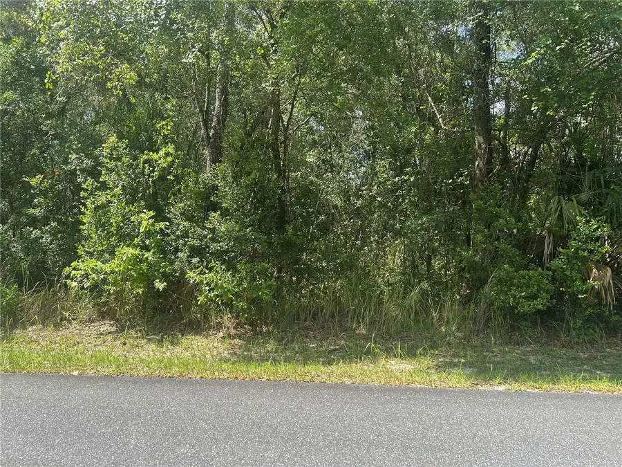 3118 E Deal Street, Inverness, FL 34453 - #2