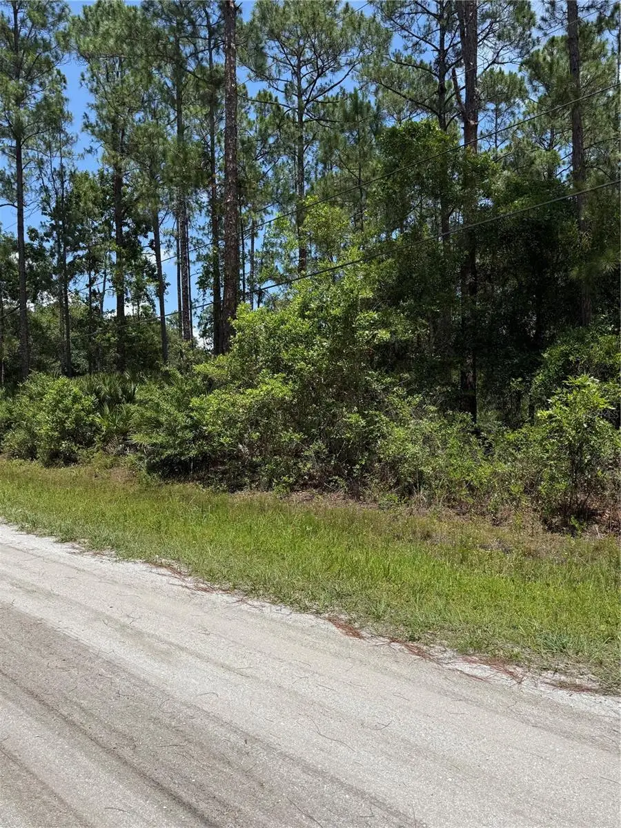 1115 Birch Street, Bunnell, FL 32110 - #3