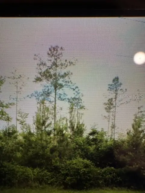 County Road 305, Bunnell, FL 32110 - #1