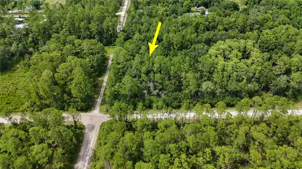 5446 Mango Avenue, BUNNELL, FL 32110