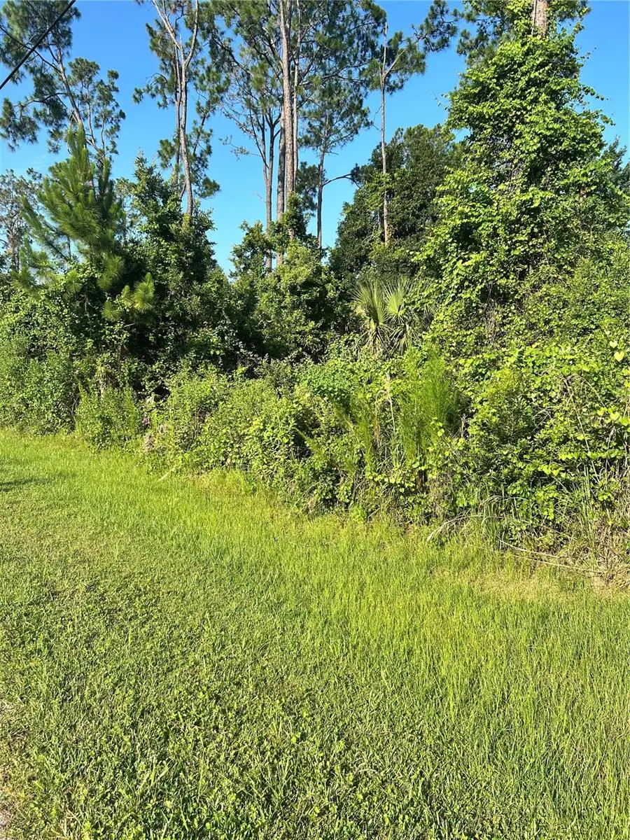 6 Ryberry Drive, Palm Coast, FL 32164 - #1