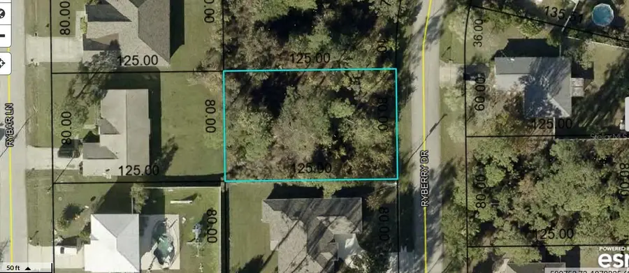 6 Ryberry Drive, Palm Coast, FL 32164 - #2