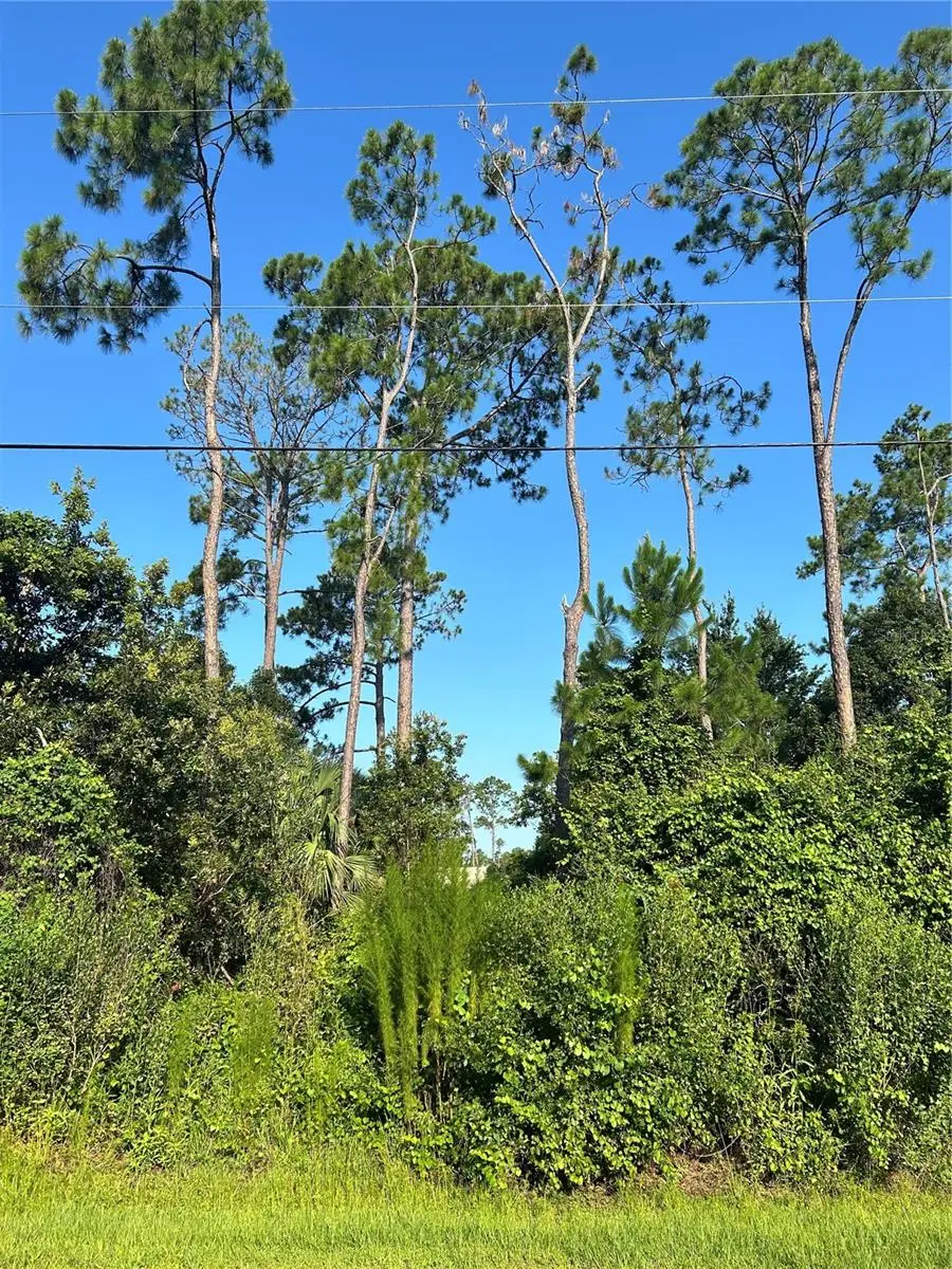 6 Ryberry Drive, Palm Coast, FL 32164 - #3