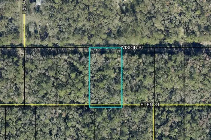 Division Street, Hastings, FL 32145 - #1