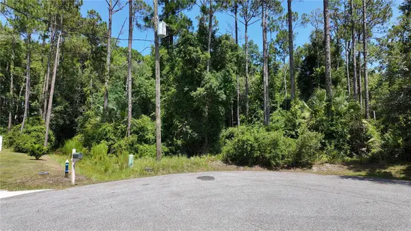 8 Zaftig Court, PALM COAST, FL 32164